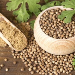 Coriander Seed Powder